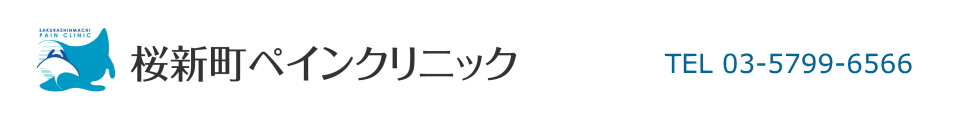 診療時間 地図 桜新町ペインクリニック 東京都世田谷区